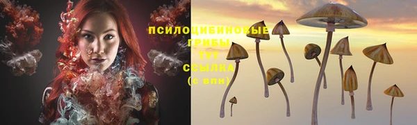 марки nbome Вяземский