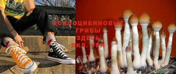 гидропоника Вязьма
