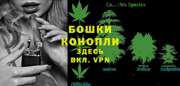 марки nbome Вяземский